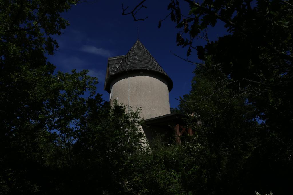Villa Moulin De Rouzé à Castelnaud-de-Gratecambe Chambre photo